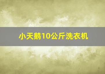 小天鹅10公斤洗衣机