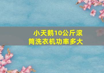 小天鹅10公斤滚筒洗衣机功率多大