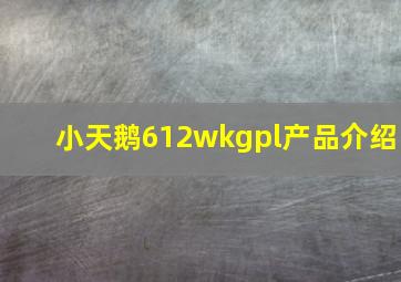 小天鹅612wkgpl产品介绍