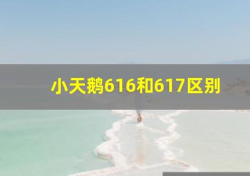 小天鹅616和617区别