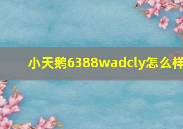 小天鹅6388wadcly怎么样