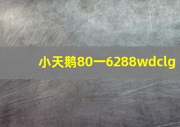 小天鹅80一6288wdclg