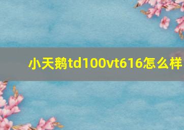 小天鹅td100vt616怎么样