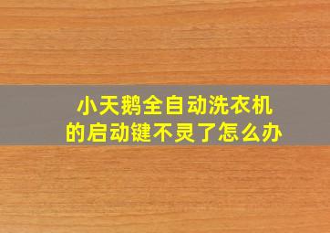 小天鹅全自动洗衣机的启动键不灵了怎么办