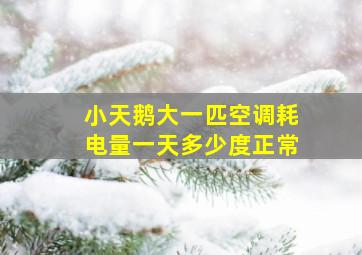 小天鹅大一匹空调耗电量一天多少度正常