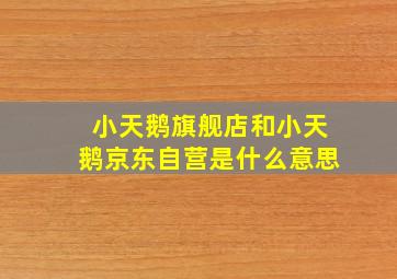 小天鹅旗舰店和小天鹅京东自营是什么意思