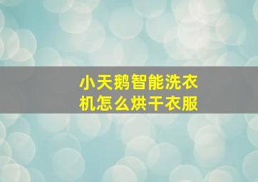 小天鹅智能洗衣机怎么烘干衣服