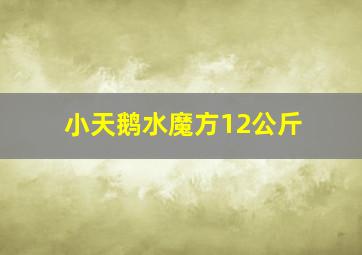 小天鹅水魔方12公斤