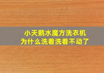 小天鹅水魔方洗衣机为什么洗着洗着不动了