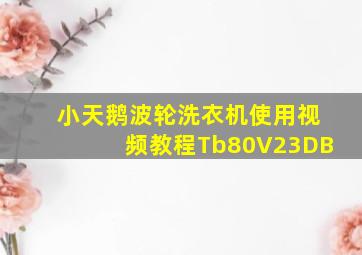 小天鹅波轮洗衣机使用视频教程Tb80V23DB