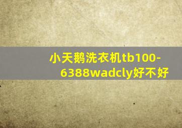 小天鹅洗衣机tb100-6388wadcly好不好