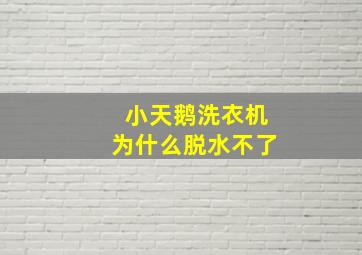 小天鹅洗衣机为什么脱水不了