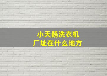 小天鹅洗衣机厂址在什么地方