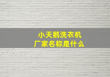 小天鹅洗衣机厂家名称是什么