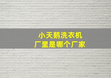 小天鹅洗衣机厂里是哪个厂家