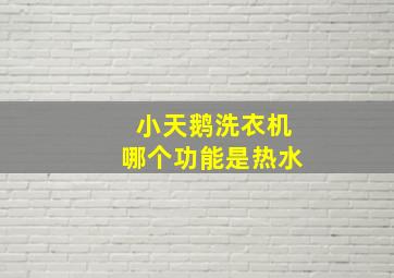 小天鹅洗衣机哪个功能是热水