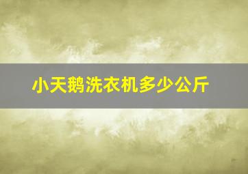 小天鹅洗衣机多少公斤