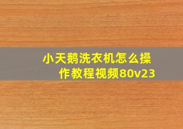 小天鹅洗衣机怎么操作教程视频80v23