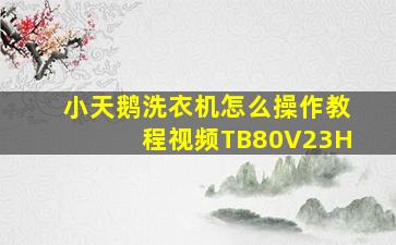 小天鹅洗衣机怎么操作教程视频TB80V23H