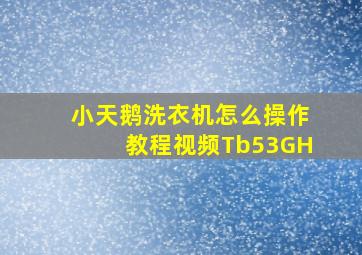 小天鹅洗衣机怎么操作教程视频Tb53GH