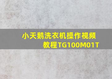 小天鹅洗衣机操作视频教程TG100M01T