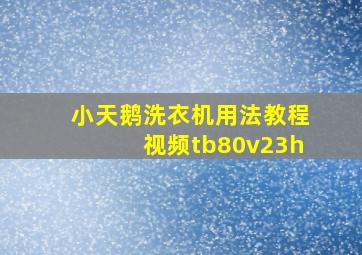 小天鹅洗衣机用法教程视频tb80v23h