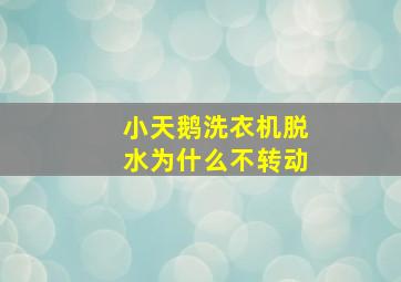 小天鹅洗衣机脱水为什么不转动