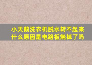 小天鹅洗衣机脱水转不起来什么原因是电路板烧掉了吗