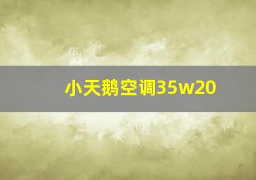 小天鹅空调35w20