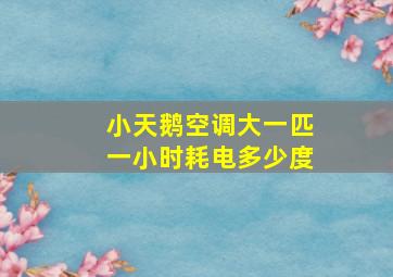 小天鹅空调大一匹一小时耗电多少度