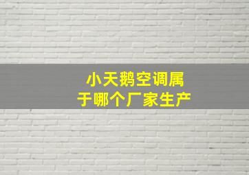 小天鹅空调属于哪个厂家生产