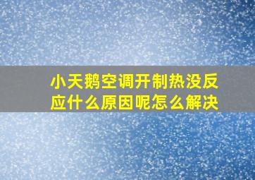 小天鹅空调开制热没反应什么原因呢怎么解决