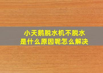 小天鹅脱水机不脱水是什么原因呢怎么解决