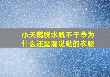 小天鹅脱水脱不干净为什么还是湿哒哒的衣服