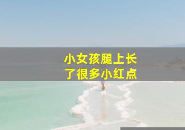 小女孩腿上长了很多小红点