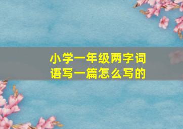 小学一年级两字词语写一篇怎么写的