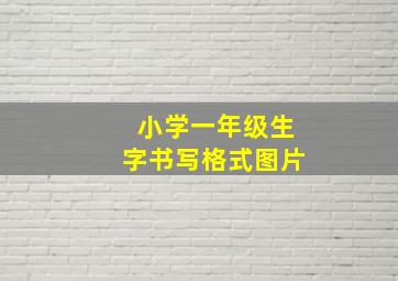 小学一年级生字书写格式图片