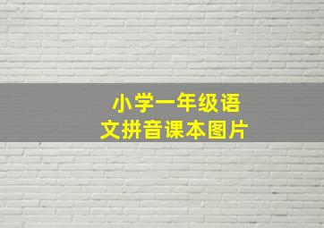 小学一年级语文拼音课本图片