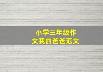 小学三年级作文我的爸爸范文