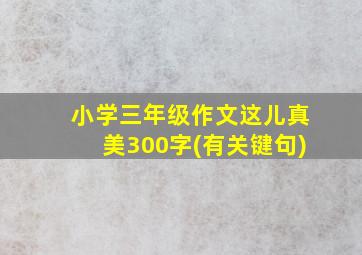 小学三年级作文这儿真美300字(有关键句)