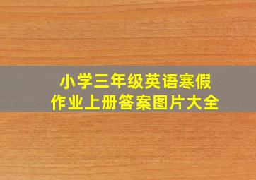 小学三年级英语寒假作业上册答案图片大全