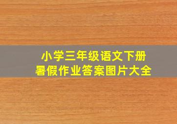 小学三年级语文下册暑假作业答案图片大全