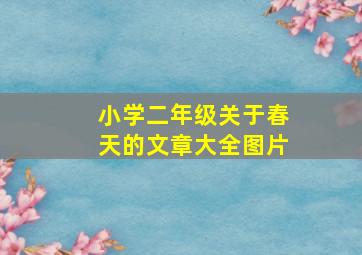 小学二年级关于春天的文章大全图片