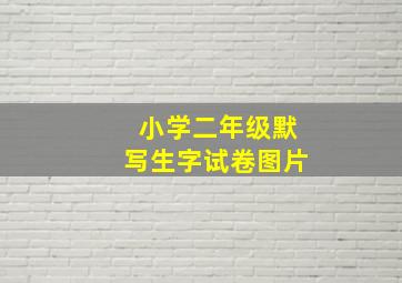 小学二年级默写生字试卷图片