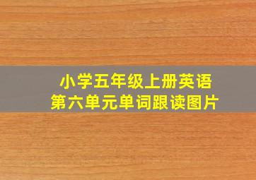 小学五年级上册英语第六单元单词跟读图片