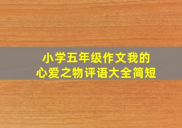 小学五年级作文我的心爱之物评语大全简短