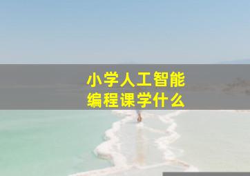 小学人工智能编程课学什么