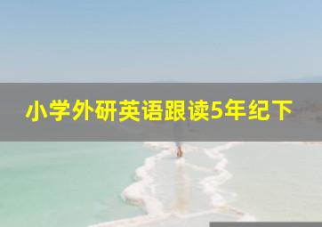 小学外研英语跟读5年纪下