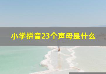 小学拼音23个声母是什么