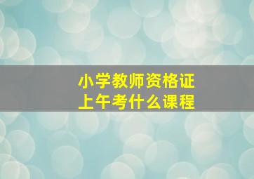 小学教师资格证上午考什么课程